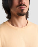 2200 Camiseta Corgi