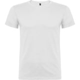 6554 Camiseta Beagle XS - S