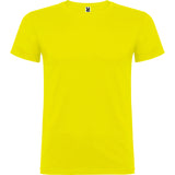 6554 Camiseta Beagle XS - S