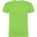 6554 Camiseta Beagle XS - S