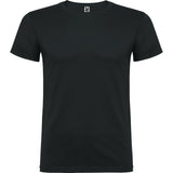 6554 Camiseta Beagle XS - S