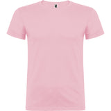 6554 Camiseta Beagle XS - S