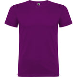 6554 Camiseta Beagle XS - S