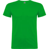 6554 Camiseta Beagle XS - S