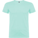 6554 Camiseta Beagle XS - S