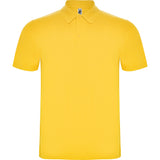 6632 Polo Austral