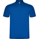 6632 Polo Austral