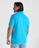 6632 Polo Austral