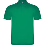 6632 Polo Austral