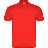 6632 Polo Austral