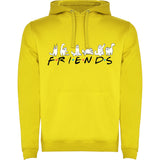 Sudadera capucha "Friends"