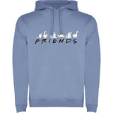 Sudadera capucha "Friends"