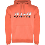 Sudadera capucha "Friends"