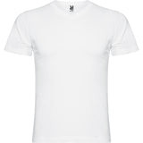 6503 Camiseta Samoyedo