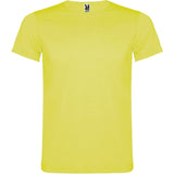 6534 Camiseta Akita