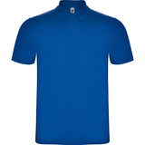 6632 Polo Austral