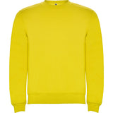 1070 Sudadera Clasica Colores Kids