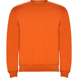 1070 Sudadera Clasica Colores Kids