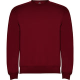 1070 Sudadera Clasica Colores Kids