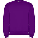 1070 Sudadera Clasica Colores Kids